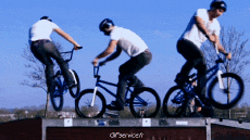 Humor -  Fun Sports BMX Fun Win 
