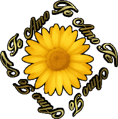 Messages Spanish Te Amo 02 