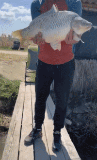 Humor -  Fun PEOPLE Fishermen Fun Fail 