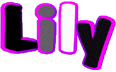 Vorname WEIBLICH - Frankreich L Lily 