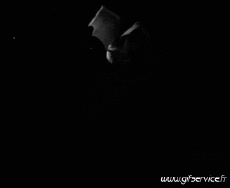 Humor -  Fun Tiere Glatze Maus 01 