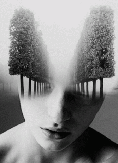 Humour - Fun GIF Artistes George RedHawk - Noir et blanc 