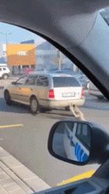 Humor -  Fun Transport Cars Funny 02 