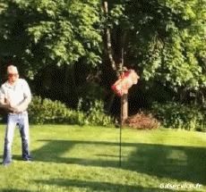 Humor -  Fun MENSCHEN Piñata Serie 01 