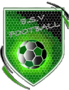 Sports FootBall Club France Centre-Val de Loire 41 - Loir et Cher ES Villefranche sur Cher 