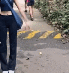 Humour - Fun Animaux Serpents Serie 01 