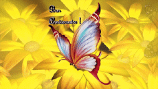 Mensajes Francés Bon Anniversaire Papillons Fondo animado 001 