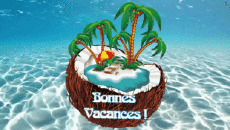 Messages French Bonnes Vacances Animated Background 002 