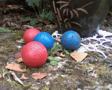 Humour - Fun 3D Effets Stéreoscopique Wiggle 