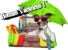 Nachrichten Französisch Bonnes Vacances Transparenter Hintergrund 11 