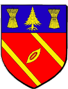 Drapeaux France Départements - Villes 43 SAINT JUST MALMON 