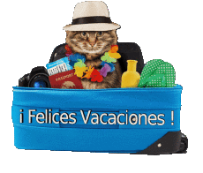 Nachrichten Spanisch Felices Vacaciones 12 