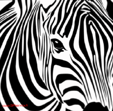 Humor - Fun Efectos 3d Stéreoscopique Wiggle avec Matrice 