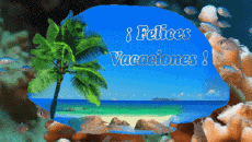 Messages Spanish Felices Vacaciones Animated Background 006 