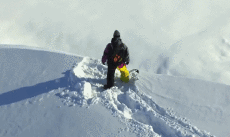 Humor -  Fun Sports SnowBoard Fun - Win 