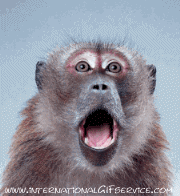 Humor - Fun Animales Monos 01 