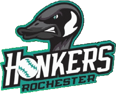 Sportivo Baseball U.S.A - Northwoods League Rochester Honkers 