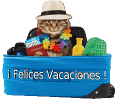 Mensajes Español Felices Vacaciones 12 