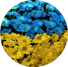 Flags Europe Ukraine Round 