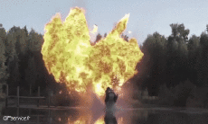 Humor -  Fun Transport Snow Motorcycle Fun - Win 