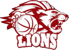 Sport Basketball Österreich Arkadia Traiskirchen Lions 