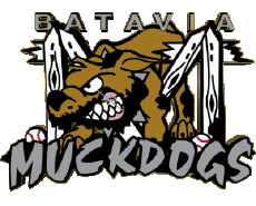 Sportivo Baseball U.S.A - New York-Penn League Batavia Muckdogs 