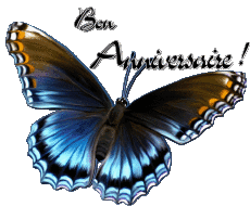 Nachrichten Französisch Bon Anniversaire Papillons 006 