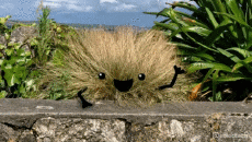 Umorismo -  Fun GIF Artista @Eclectech 