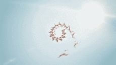 Multimedia Canali - TV Francia Numéro 23 Jingle Pub 