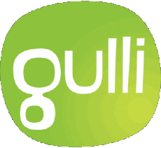 Multi Média Chaines -  TV France Gulli Logo 