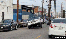 Humor - Fun Transporte Coches Lowriding 