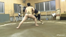 Humor -  Fun Sports Sumo Serie 01 