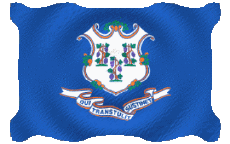Flags America U.S.A - States Connecticut Waving 