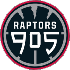 Sports Basketball U.S.A - N B A Gatorade Raptors 905 
