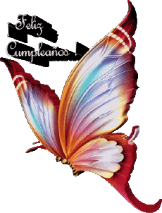 Messagi Spagnolo Feliz Cumpleaños Mariposas 008 