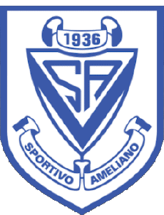 Sports FootBall Club Amériques Paraguay Sportivo Ameliano 