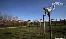 Humour - Fun Sports Barre Fixe Fun Win 