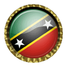 Fahnen Amerika St. Kitts und Nevis Rund - Ringe 