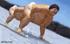 Humor - Fun Deportes Sumo Serie 01 