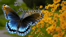 Mensajes Francés Bon Anniversaire Papillons Fondo animado 004 