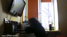 Humour - Fun PERSONNAGES Informatique Serie 01 