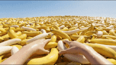 Humour - Fun I.A Mix Ocean de Reve 