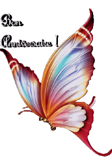 Mensajes Francés Bon Anniversaire Papillons 008 
