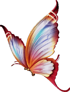 Messages Spanish Feliz Cumpleaños Mariposas Transparent Background 008 