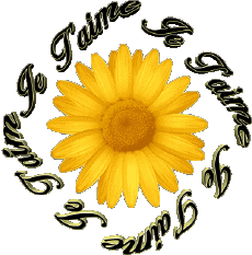 Messagi Francese Je T'aime 03 