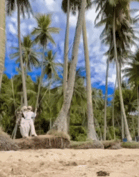 Humor - Fun GENTE Balancearse Gamelles Fail 