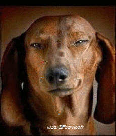 Humour - Fun Morphing - Ressemblance People - Vip Série 01 