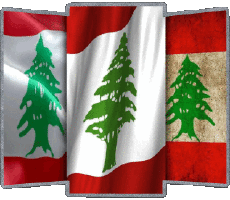 Drapeaux Asie Liban Forme 