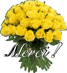 Messagi Francese Merci 011 