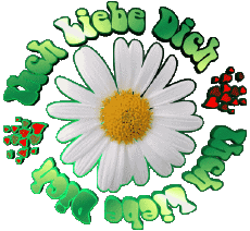 Mensajes Alemán Ich Liebe Dich 04 